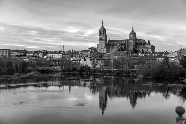 Uitzicht Skyline Van Salamanca Met Kathedraal Van Salamanca Zijn Reflectie — Stockfoto