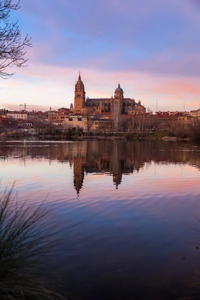 Саламанка Скайлайн Дивиться Собором Саламанки Його Віддзеркалення Річці Тормс Іспанія — стокове фото