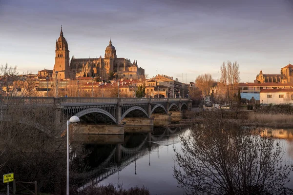 Salamanca España Febrero 2022 Salamanca Vista Panorámica Con Catedral Puente —  Fotos de Stock