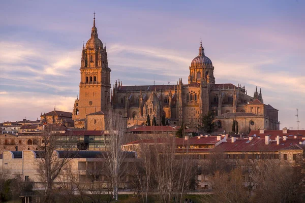 Σαλαμάνκα Ισπανία Φεβρουαρίου 2022 Νέος Καθεδρικός Ναός Catedral Nueva Είναι — Φωτογραφία Αρχείου