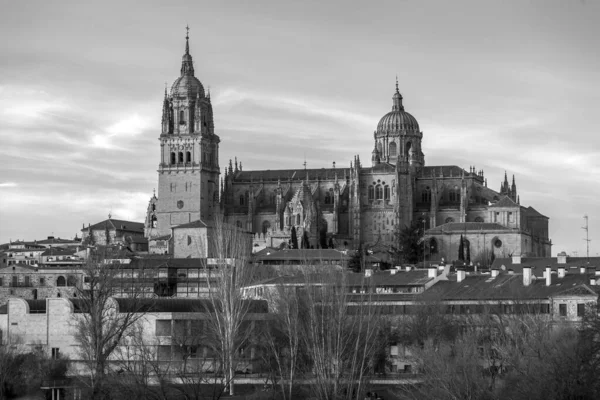 Salamanka Hiszpania Feb 2022 Nowa Katedra Catedral Nueva Jest Jedną — Zdjęcie stockowe