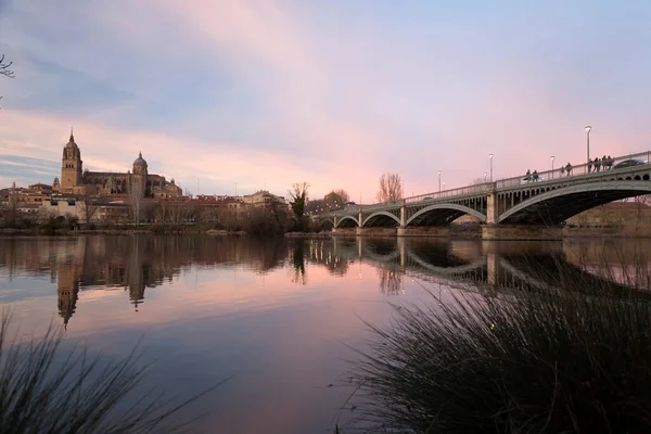 Саламанка Іспанія Лютого 2022 Саламанка Скайлайн Кафедральним Собором Мостом Енріке — стокове фото