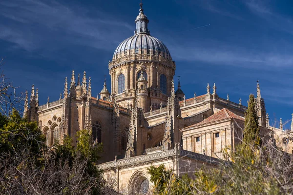 Salamanca Spagna Feb 2022 Nuova Cattedrale Catedral Nueva Una Delle — Foto Stock