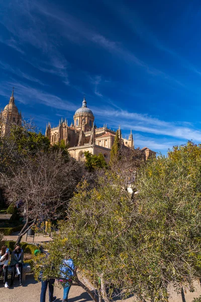 Salamanca Spanya Feb 2022 Huerto Calixto Malibea Bahçesindeki Ağaçlar Diğer — Stok fotoğraf