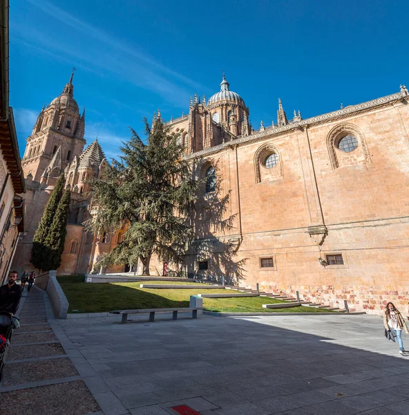 Salamanka Hiszpania Feb 2022 Nowa Katedra Catedral Nueva Jest Jedną — Zdjęcie stockowe