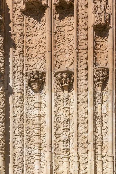 Salamanca Spanje Feb 2022 Architectonisch Detail Van Nieuwe Kathedraal Catedral — Stockfoto