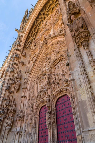 Salamanca Spania Februarie 2022 Detalii Arhitecturale Din Noua Catedrală Catedral — Fotografie, imagine de stoc