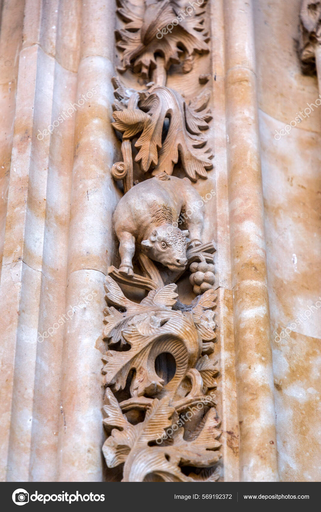 Salamanca Spain Feb 22 Architectural Detail New Cathedral Catedral Nueva Stock Editorial Photo C Enginkorkmaz