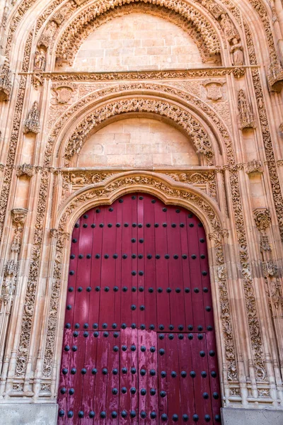 Salamanca Spanyolország Feb 2022 Építészeti Részlet Katedrális Catedral Nueva Egyike — Stock Fotó