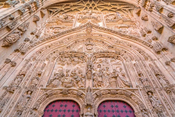 Salamanca España Feb 2022 Detalle Arquitectónico Catedral Nueva Catedral Nueva — Foto de Stock