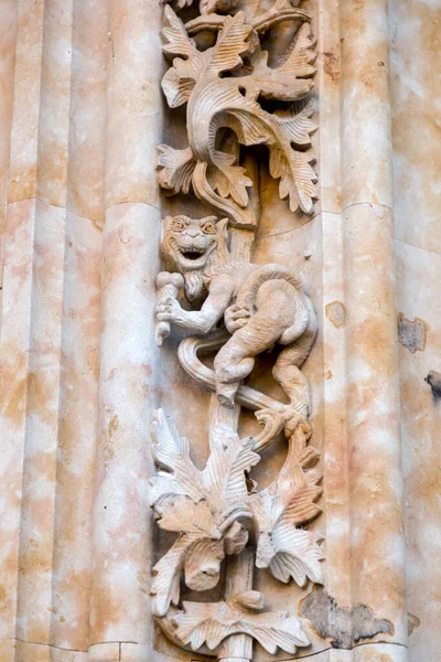 Salamanca Spanje Feb 2022 Architectonisch Detail Van Nieuwe Kathedraal Catedral — Stockfoto