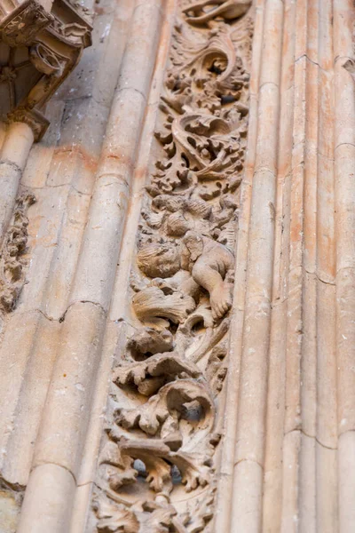 Salamanca España Feb 2022 Detalle Arquitectónico Catedral Nueva Catedral Nueva — Foto de Stock