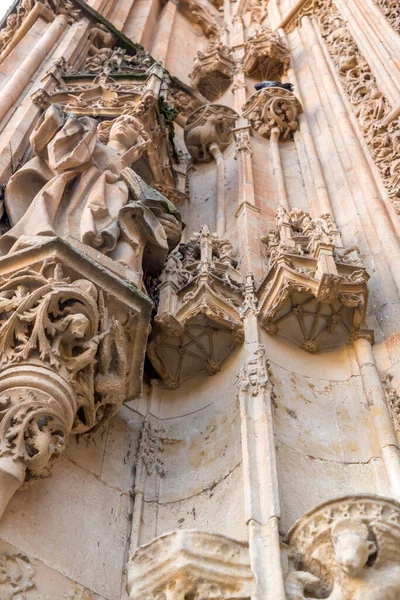 Salamanca España Feb 2022 Detalle Arquitectónico Catedral Nueva Catedral Nueva —  Fotos de Stock