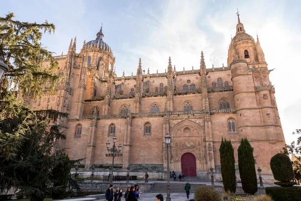 Salamanca Spain Feb 2022 New Cathedral Catedral Nueva One Two — Stock Photo, Image