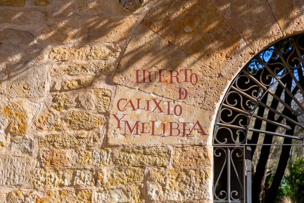 Саламанка Испания Февраля 2022 Года Рукописный Знак Стене Саламанке Традиционном — стоковое фото