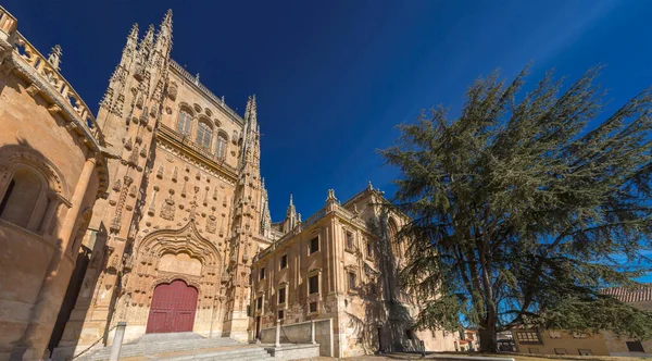 Cattedrale Nuova Catedral Nueva Una Delle Due Cattedrali Salamanca Costruito — Foto Stock