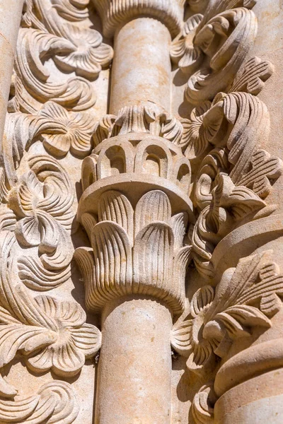 Architectural Detail New Cathedral Catedral Nueva One Two Cathedrals Salamanca — Stock Photo, Image