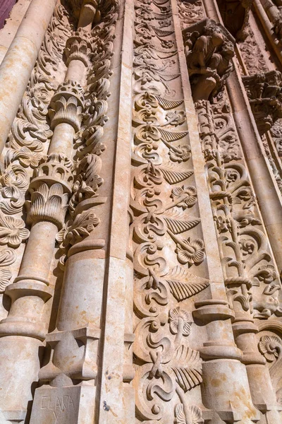 Architectonisch Detail Van Nieuwe Kathedraal Catedral Nueva Een Van Twee — Stockfoto