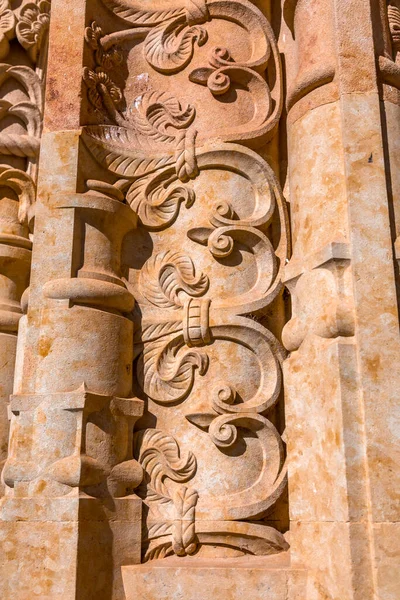 Építészeti Részlet Katedrális Catedral Nueva Egyike Két Katedrális Salamanca — Stock Fotó