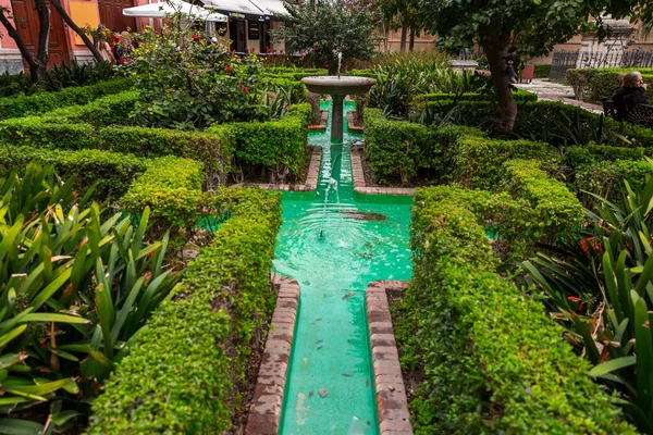 西班牙马拉加 Feb 2022 西班牙马拉加主教座堂旁边有喷泉和池塘的装饰花园 — 图库照片