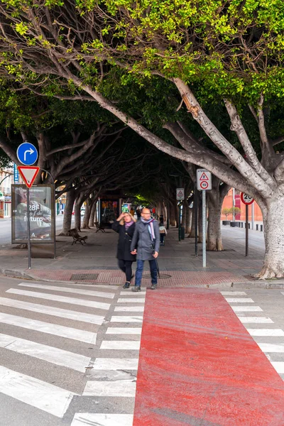 Malaga Spanyolország Feb 2022 Sétaút Fenséges Fákkal Malagában Spanyolországban — Stock Fotó