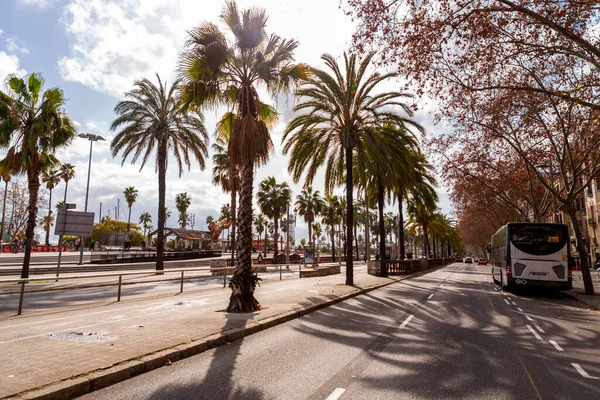 西班牙巴塞罗那 Feb 2022 Passeig Colom是西班牙加泰罗尼亚巴塞罗那市Ciutat Vella区一条有棕榈树的宽阔大道 — 图库照片