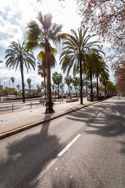 Барселона Испания Feb 2022 Passeig Colom Широкая Аллея Выложенная Пальмами — стоковое фото