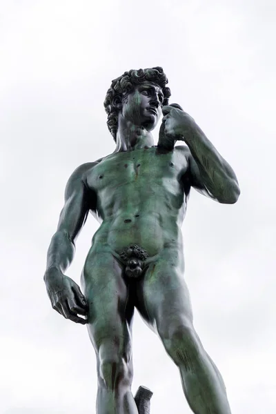 지역에 위치한 피렌체 피아제 미켈란젤로에 다비드 조각품의 복제품 — 스톡 사진