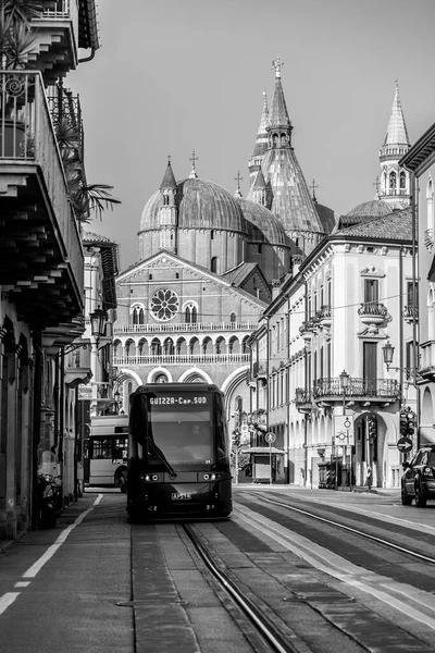 Pádua Itália Abril 2022 Pontifícia Basílica Santo Antônio Pádua Uma — Fotografia de Stock