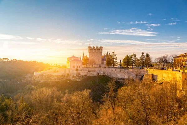 Vue Extérieure Alcazar Historique Ségovie Une Forteresse Médiévale Ségovie Castille — Photo