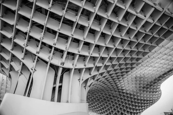 Seville Spain Feb 2022 Setas Sevilla Mushrooms Seville Initially Titled — Zdjęcie stockowe