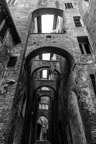 Generic Architecture Street View Historical Italian City Siena Tuscany — Stock Fotó