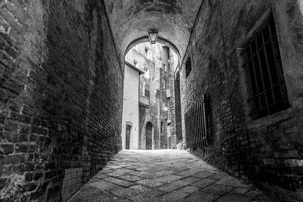 Загальна Архітектура Вуличний Вид Історичного Італійського Міста Сієна Тоскані — стокове фото