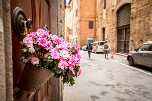 Похудалый Тканый Цветочный Горшок Цветущие Растения Смонтированные Стене Деревенское Итальянское — стоковое фото