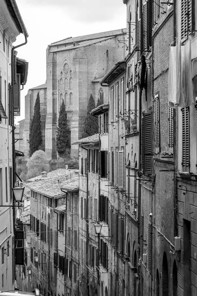 Generic Architecture Street View Historical Italian City Siena Tuscany — ストック写真