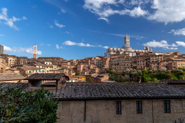 Generic Architecture Cityscape View Historical Italian City Siena Tuscany — Fotografia de Stock