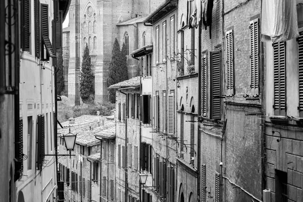 Сиена Италия Июля 2022 Года Генуэзская Архитектура Вид Улицу Исторического — стоковое фото