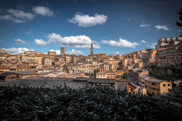 Siena Italien April 2022 Generische Architektur Und Stadtansichten Von Der — Stockfoto