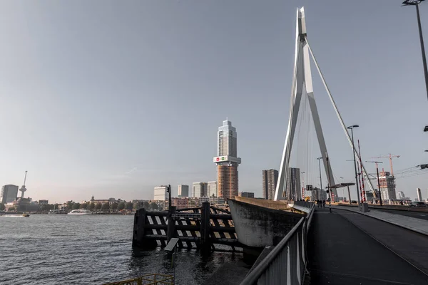 Rotterdam Netherlands October 2021 Erasmus Bridge Maas Meuse River Rotterdam — Fotografia de Stock