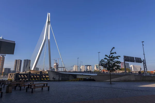 Rotterdam Netherlands October 2021 Erasmus Bridge Maas Meuse River Rotterdam — Photo