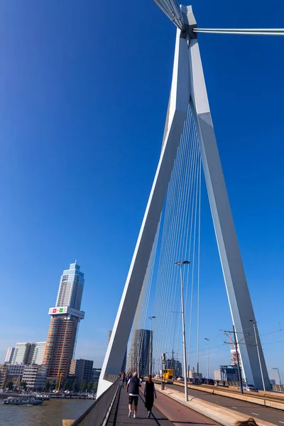 Rotterdam Netherlands October 2021 Erasmus Bridge Maas Meuse River Rotterdam —  Fotos de Stock