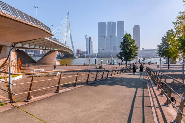 Rotterdam Netherlands October 2021 Erasmus Bridge Maas Meuse River Rotterdam — Stock Fotó