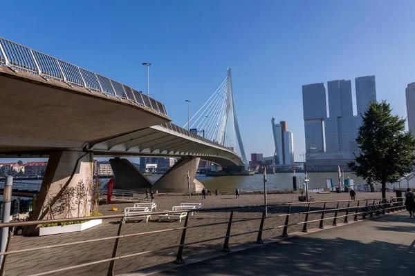 Rotterdam Holandia Października 2021 Most Erasmus Nad Rzeką Maas Lub — Zdjęcie stockowe