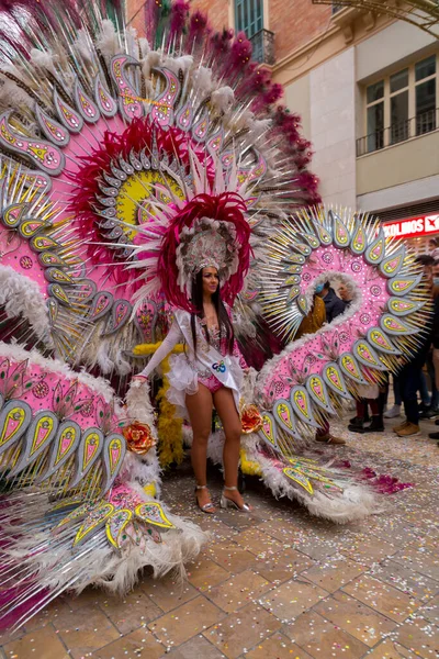 Malaga Spain Feb 2022 People Celebrating Malaga Carnival Costumes Confettis — ストック写真