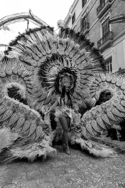 Malaga Spain Feb 2022 People Celebrating Malaga Carnival Costumes Confettis — Stockfoto