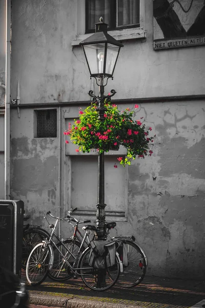 Utrecht Oct 2021 Ornate Lantern Geranium Flowers Street Decoration Detail — ストック写真