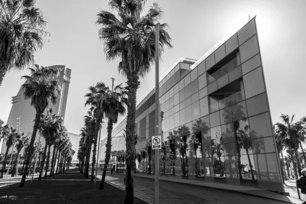 Barcelona Spain Feb 2022 Head Office Desigual Passeig Del Mare — Stock fotografie