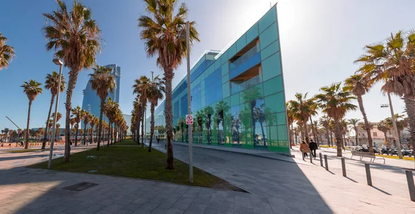 Барселона Іспанія Feb 2022 Head Office Desigual Passeig Del Mare — стокове фото