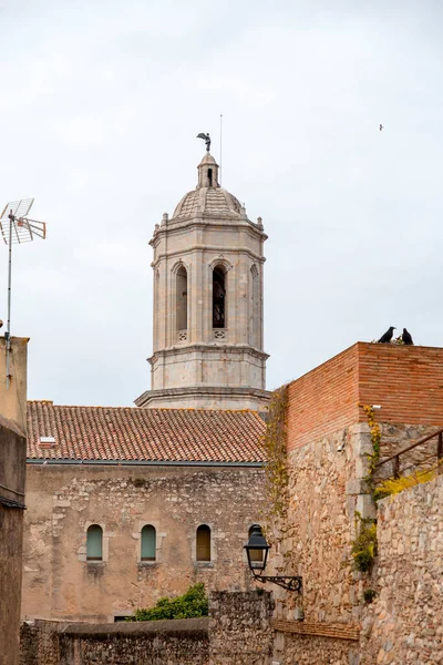 Вежа Кафедрального Собору Гірони Або Catedral Santa Maria Girona — стокове фото