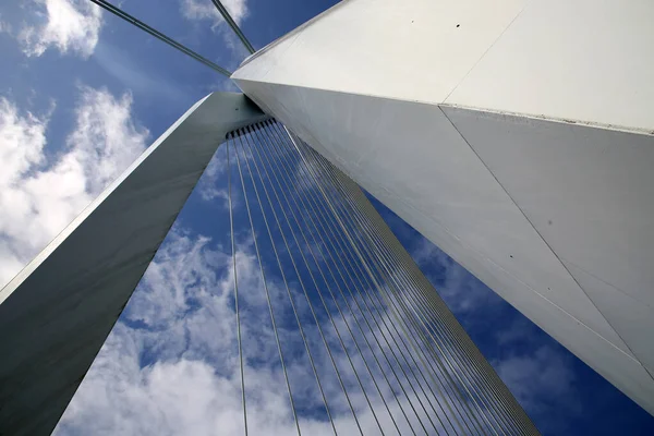Erasmusbrücke Über Maas Oder Maas Rotterdam Der Zweitgrößten Stadt Der — Stockfoto